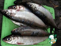 �������� ����� �����������