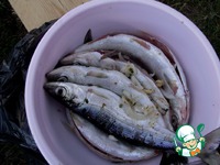 �������� ����� �����������