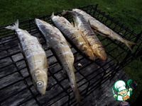 �������� ����� �����������