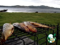 �������� ����� �����������