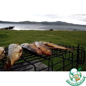 �������� �����