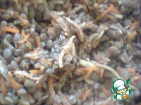 ������� �������� �����������