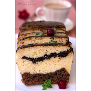 ������ "���������"