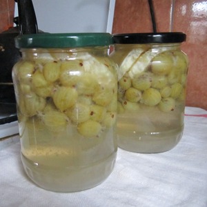 ����: ������ �� ����������