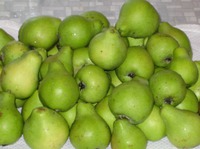 ��������� ������ ����� �� ���� �����������