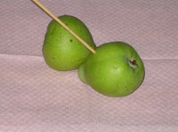 ��������� ������ ����� �� ���� �����������