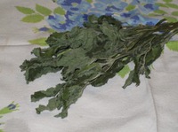 ��������� ������ ����� �� ���� �����������