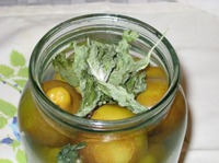 ��������� ������ ����� �� ���� �����������