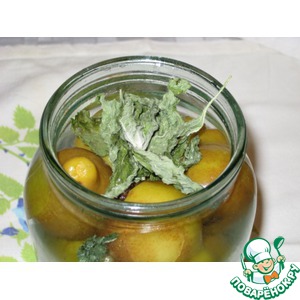 ��������� ������ ����� �� ����