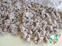 ����� ��-��������� ��������� (fleischschnacka) �����������