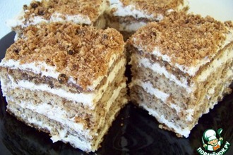 ������: ���� ����������