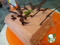 ���� "��������" �����������