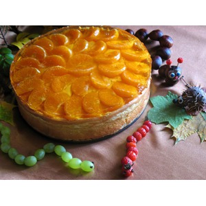 ��������� ������������