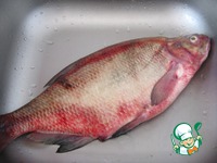 ��������� ��� �����������