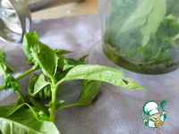 ������� � ��������� � ��������� �����������