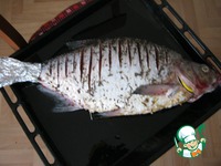 ��������� ��� �����������