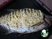 ��������� ��� �����������