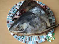 ������ ��� "����" �����������