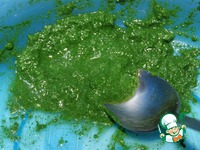 ������ ���� �����������