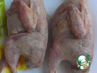 �������� ��� ����� �����������