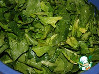 ��������� ����� "�����������" �����������