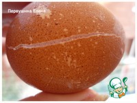 ���� "������" �����������