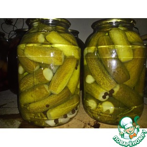 ������������ ������ "�������"