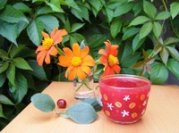 �������� ������ �����������