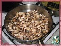 ����� ������� ��������� �����������