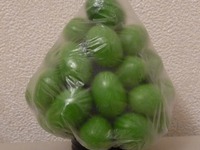 ������ - ���e��� �������� �����������