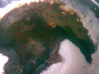 ������� "�������� �����" �� ����� ����� �����������