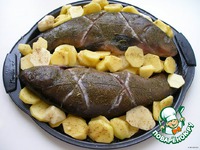 ����, ���������� � ������� � ���������� �����������