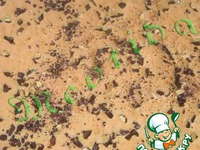 ���� "�������� �����" �����������