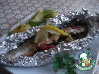 ������ � ������ �����������