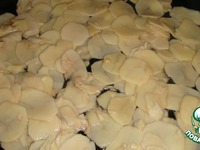 ��������� � ���������� �����������