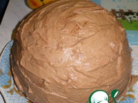 ���� "���������� ���" �����������