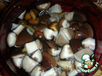 ���������� ��������� ������ � �������� �����������