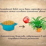 �������������