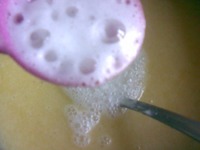 ���������� ���� �����������