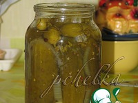 ���������� � ������� �����������