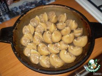 ������������� �������� �����������