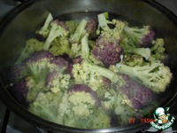 ��������, ���������� � ����� � �������� �����������