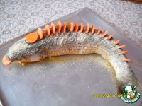 ������������� ������ "��������� �������" �����������