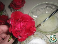 ���� "������" �����������