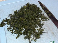 �������� "���������" �����������