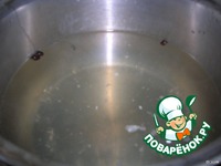 ���������������� ����� �����������