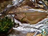 ���� � ������ �����������