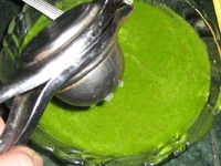 ����� ���� ���e��� �����������