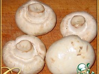 ������ ������ � ������� �����������