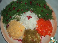 C���� "������ � ���������" �����������